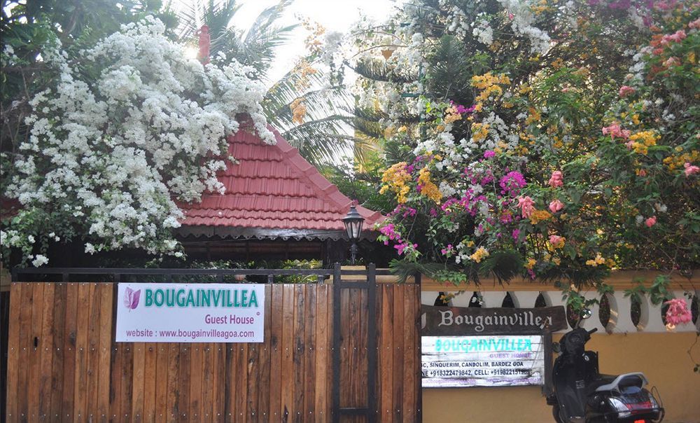 Bougainvillea Guest House 坎多林 外观 照片